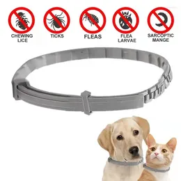 Dog Collars Cat Deworming Collar Adjustable Prevent Lice Fleas Necklace Solid Mosquito Repellent Pet Supplies