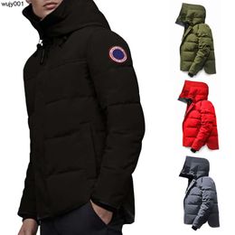 Designer invernale Down Men Fashion Trend Hooded Goose Assistentato cappotto da esterno caldo nero