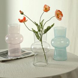 Vases Nordic Style Glass For Plant Fashion Bottles Flowers Desktop Decorations Creative Vase Domestic Ornaments