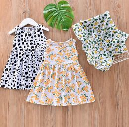 Summer Girls Cute Cartoon Dresses Cute Flowers Animal Print Cotton Beach Dress Beautiful Comfortable Casual Sleeveless Dress Baby Infant Vest Dress