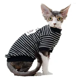 Cat Costumes Korea Ins Clothes Spring Cute Puppets Anti-hair Fall Outfits