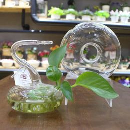 Vases Hydrophyte Transparent Glass Desktop Hydroponic Planter Decoration Ornaments