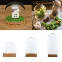 Vases Glass Dome Cover For Flower Succulent Plants Cultivate Vase Ornaments With Wood Cork Household Desktop Creative Decoration