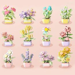 Decorative Flowers Simulation Succulent Potted Plant Ornaments Small Particles Assembled Building Blocks Toy Series Holiday Gift