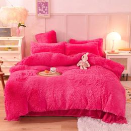 Bedding Sets Nordic Luxury Winter Warm Single Double Thick Mink Quilt Cover Girl Large Size Homeware Colourful Plush