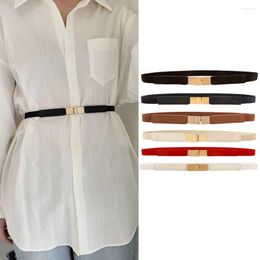 Belts Women's Fashion Stretch Thin Waistband Comfortable Simple Multi-color Dress Accessories