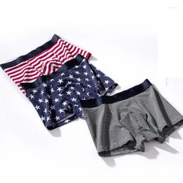 Underpants Sexy Men Underwear Boxer Cotton 3pcs/lot U Convex Pouch Man's And Boy Boxers Plus Size