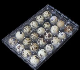 wholesale 1000pcs 24 Holes Quail Eggs Container Plastic Boxes Clear Eggs Packing Storage Box Tray Retail Packing SL40 11 LL