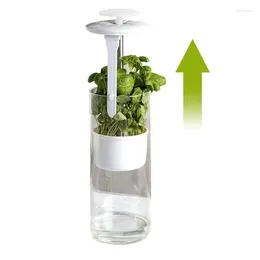 Storage Bottles Cilantro Saver Green Vegetables For Maximum Freshness Organizer Keeper With Ventilation Slot