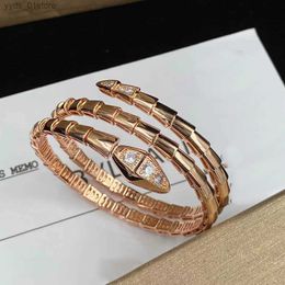 Charm Bracelets snake charm gold bangle luxury Jewellery designer for woman rise gold silver open adjustable diamond cuff s fashion jewelrys women mens party gift L46