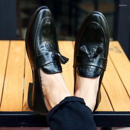 Casual Shoes 2024 Spring Tassel Men's Large Size Korean Version Of Breathable Loafers Foreign Trade Leather Men D2367