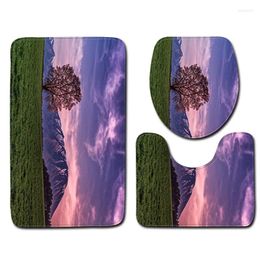 Bath Mats 3D Landscape Print Toilet Mat In The Bathroom Home Decoration For Seat Cushion Absorbent AntiSlip Foot Rug Set