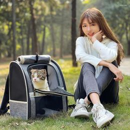 Cat Carriers Cute Carry Transporter Animal Small Kitten Trolley Hamster Dla Kota Pet Accessories