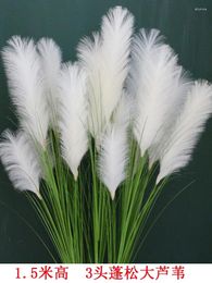 Decorative Flowers Artificial Large Reed Dried False Onion Grass Plants Hairy Dog Tail Decoration