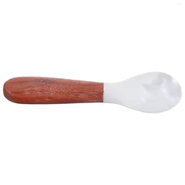 Spoons Reusable Dessert Spoon Conch Of Appetizer Wood Small Scoops Kitchen Essentials