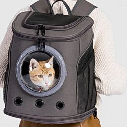 Cat Carriers Travel Clear Kitten Transporter Small Backpacks Stroller Transportador Para Gato Pets Accessories