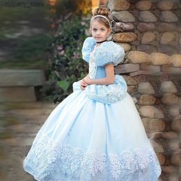 Girl's Dresses Girls Deluxe Fluffy Cinderella Dress Up Children Halloween Princess Costume Kids Birthday Christmas Carnival Wedding Party Gown L240402