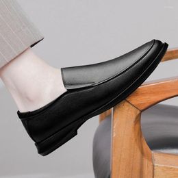Casual Shoes Genuine Leather Men Soft Sole Mens Loafers Fashion Designer Leisure Walk Male Business Footwear