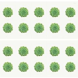 Gift Wrap Green Succulent Stamp 2024 Unused Postage With Post Mark Stamps For Collecting