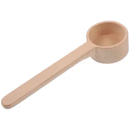 Spoons Long Handle Spoon Wood Leaves Tea Salt Measuring Scoop