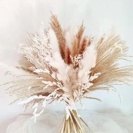 Natural Real Dried Flowers Nordic Wedding Decoration Fluffy Pampas Grass Bouquet Boho Garden Home Decor Party Accessory Props 240328