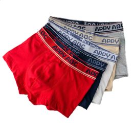 Children Boy Underwear for Kids Funny Beard Boxer Panties Shorts Soft Cotton Underpants Boys Teenage Striped Panties Kids 2-16Y 240329