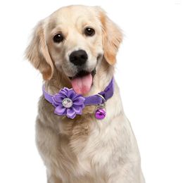 Dog Collars Small Cat Collar Flower Bell Pet Neck Strap Adjustable Easy Wear Buckle Lovely Necklace Accessories Dogs