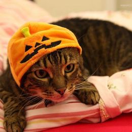 Dog Apparel Pet Cat Pumpkin Hat Christmas Easter Turban Halloween Headwear Supplies Puppy Accessories Ornament