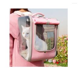Cat Carriers Space Bag Go Out Portable Breathable Pet Creative Products
