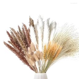 Decorative Flowers YO-70 Pieces Pampas Grass Dried Decoration Natural Plants