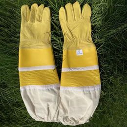 Disposable Gloves Leather Professional Beekeeping Long Sleeve Protective Bell Protection Housework