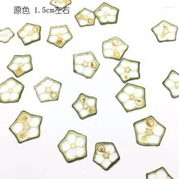 Decorative Flowers 20pcs Pressed Dried Okra Fruit Slices Plant Herbarium For Jewellery Postcard Invitation Card Phone Case Bookmark Making DIY