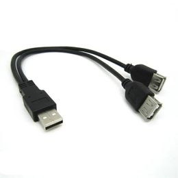 USB 2.0 Bir Erkek - USB Dişi 2 Çift Çift Güç Kaynağı USB Kadın Ayırtıcı Uzatma Kablosu Hub Ücreti Sabit Diskler Yazıcılar için