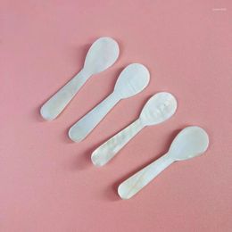 Spoons 2PCS Natural Conch Shell Ice Cream Coffee Spoon Caviar Mother Of Pearl Seashells Stirring Teaspoon Kitchen Tool