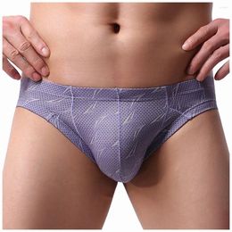 Underpants Men's Mesh Low Waist Underwear Soft Breathable Knickers Short Sexy Briefs Calzoncillos Hombre Sexi Ropa Interior 2024