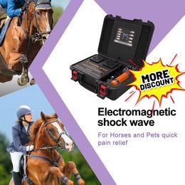 Intelect Puls EWST Physical Therapy Equipments Electromagnetic Shock Wave Machine Ed Treatment Fast Pain Relief And Relaxation Massage Shockwave For Horses