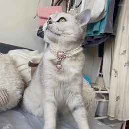 Dog Collars Pearl Necklace Collar Fashion Jewellery Puppy Cat With Shiny Gem Pendant Small Pet Accessories