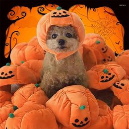 Dog Apparel Cute Pet Cosplay Clothes Transfiguration Costume Winter Warm Hat Cat Pumpkin Halloween Party Decoration