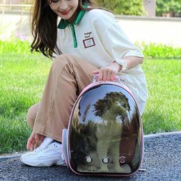 Cat Carriers Bag Breathable Portable Pet Carrier With Holes Outdoor Travel Backpack