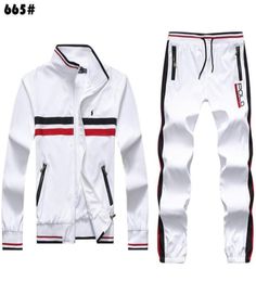 Spring Autumn Men Tracksuits Polo Sweatshirts Horse embroidery Jogger Sporting Suit Mens sportswear Set Plus Size M2XL7057444