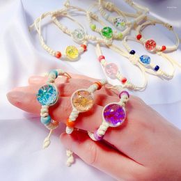 Charm Bracelets Korean Style Natural Dried Flower Glass Ball Adjustment Bracelet For Women Men Gypsophila Crystal Trendy Wristband Jewellery