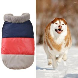 Dog Apparel Pet Coat Fur Collar Soft Keep Warm Colour Matching Cotton Clothes For Small Medium Jacket Ourdoor Supplies