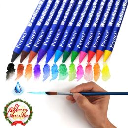 Sets 12 Pcs Woodless Colour Pencils Set Water Soluble Professional Watercolour Graffiti Art School Student Supplies DIY