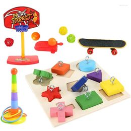 Other Bird Supplies Parrots 5 Kinds Set Basketball Skateboard Stacking Toy Blocks Puzzle