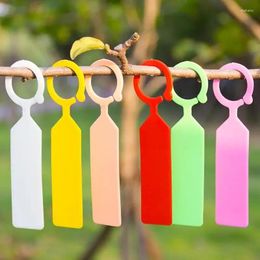 Garden Decorations 100 Pcs /Lot Plastic Plants Tags Nursery Ring Label Pot Marker Stakegreenhouse Hanging Plant