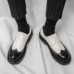 Dress Shoes Spring And Autumn Leisure Fashion Leather Korean Block Youth Contrast Colour Men's