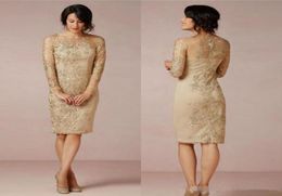 Gold Lace Knee Length Short Mother of the Bride Groom Dress Transparent Long Sleeve Newest Women Evening Gowns Forma Proml Party D7963872