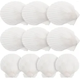 Vases 10 Pcs Natural Shell Decoration Decorative Crafts DIY Handicraft Accessory Suite Making Material