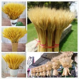 Decorative Flowers 50Pcs Real Wheat Ear Natural Dried Eternal High Quality Artificial Gifts For Women Christmas Ornaments Pampas