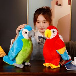 Wholesale of new 35CM small animal soft cute parrot plush toy dolls, doll accessories, soothing dolls, children's gifts